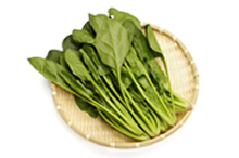 佐賀県産ほうれんそう