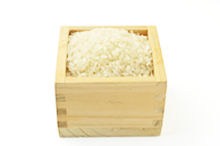 こしひかり白米10kg